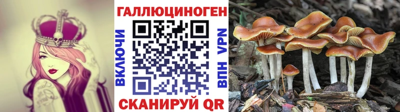 Псилоцибиновые грибы мухоморы  Купить закладки  Иланский 